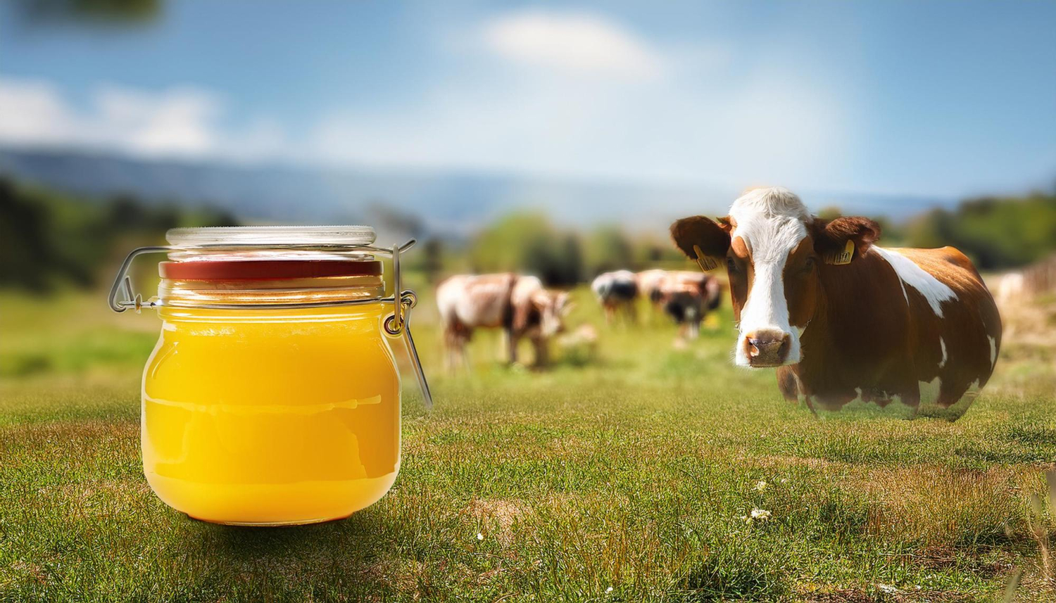 Sunsoliv Natural Living